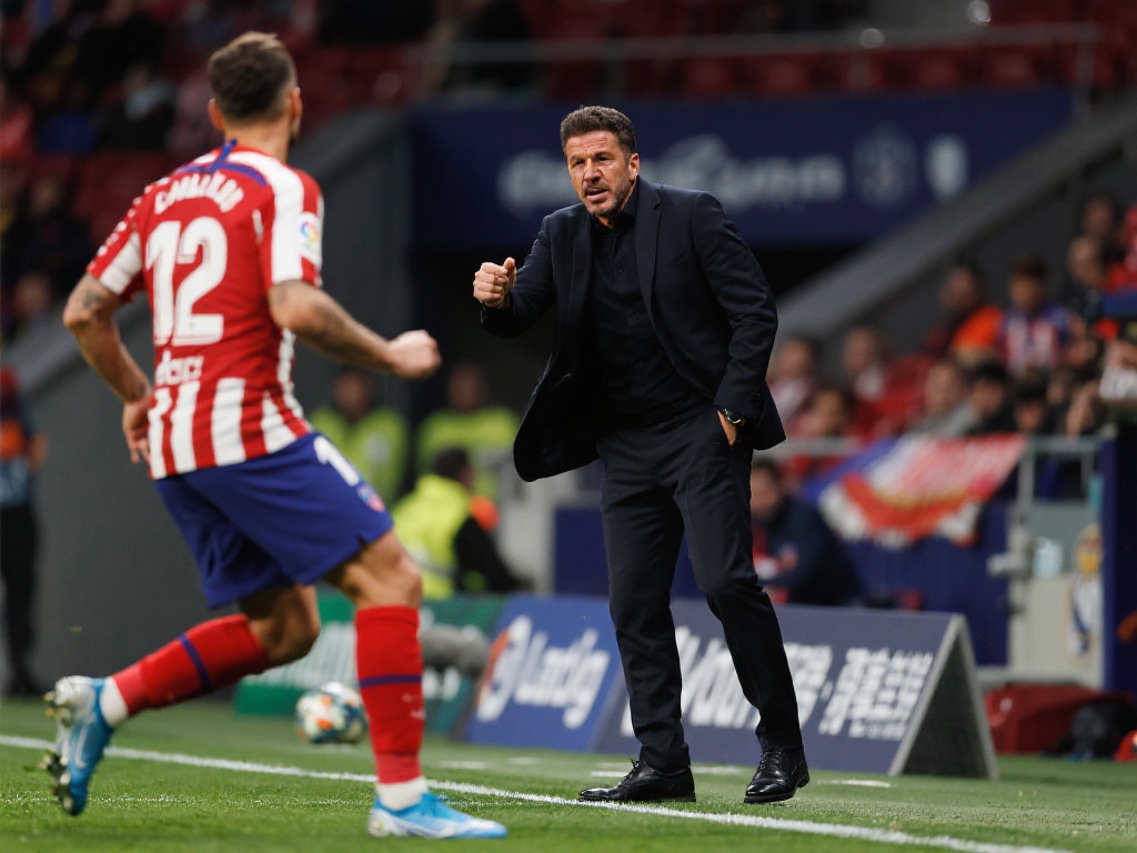 平台提供了 平台提供了